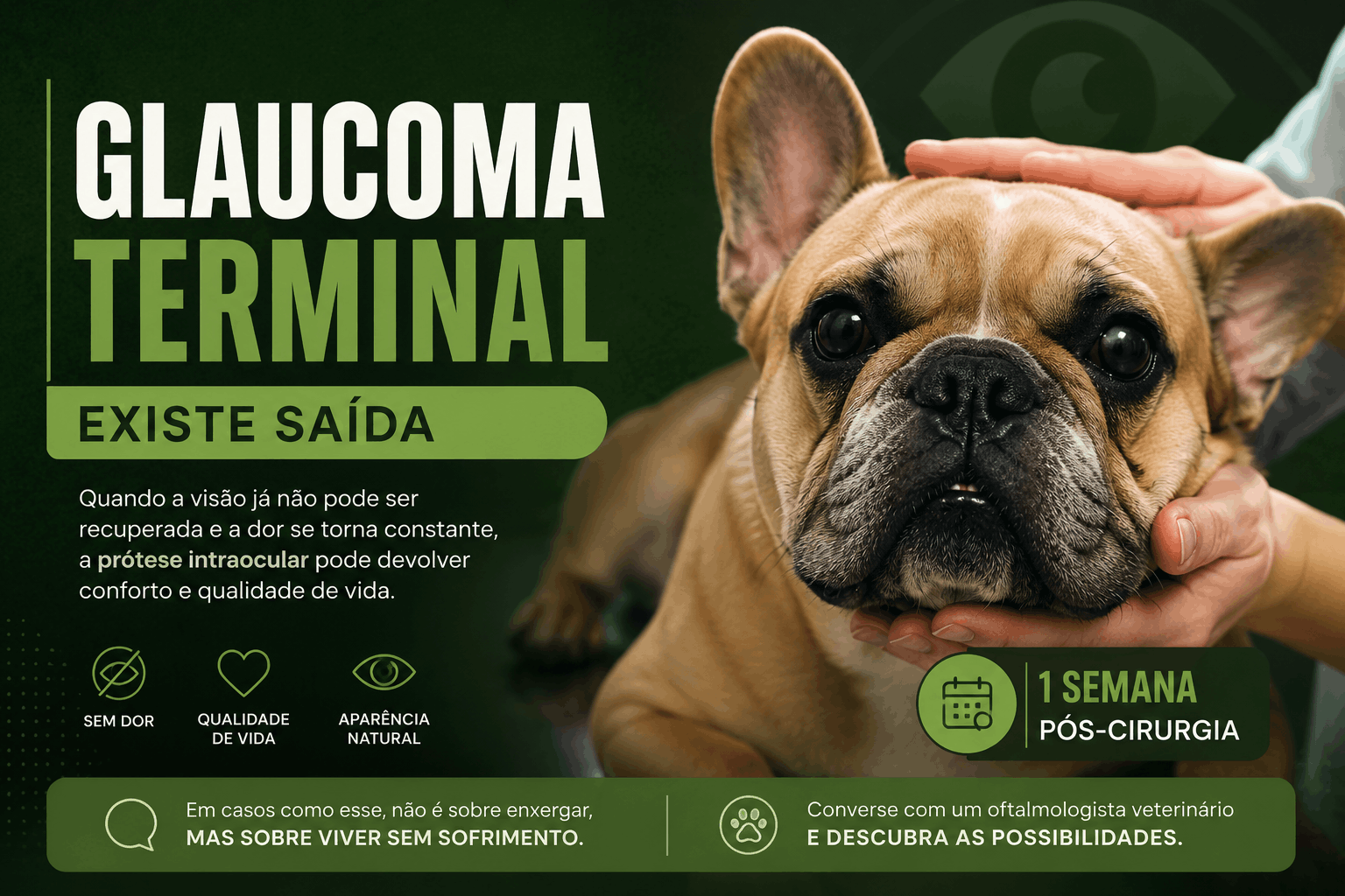Glaucoma Terminal - Existe Saída!?